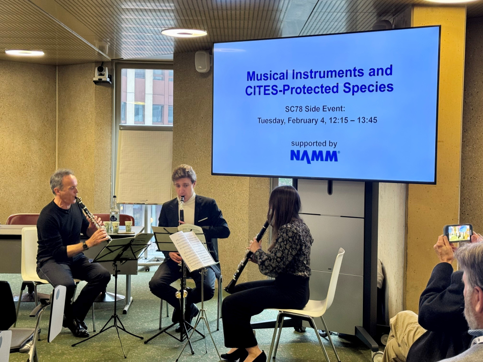 clarinet trio performing 